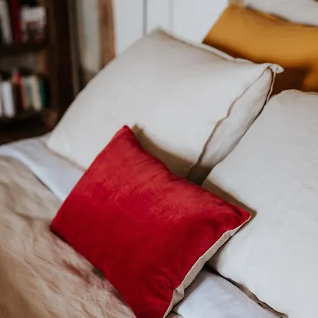 La Petite Grange Des Vignes Ferienhaus