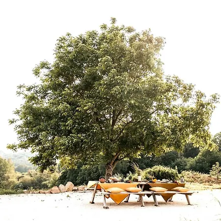 La Petite Grange Des Vignes Holiday home *