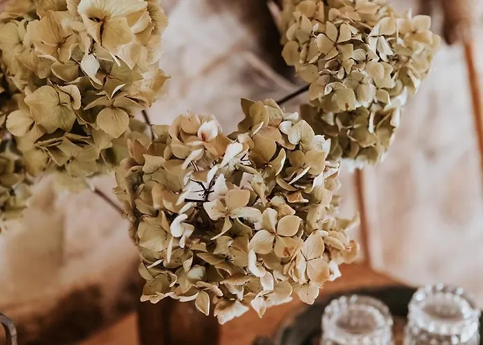 La Petite Grange Des Vignes