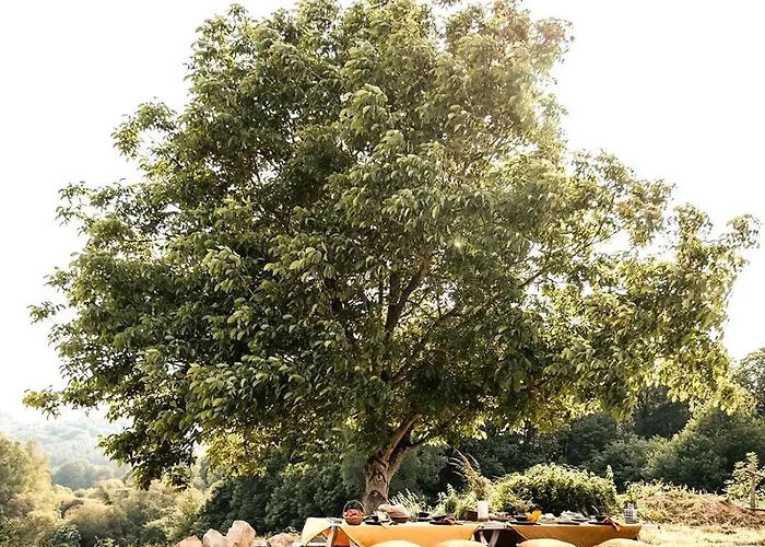 La Petite Grange Des Vignes بيت للعطل *